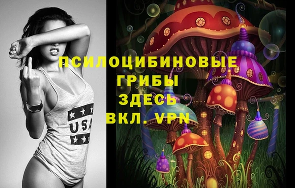 стаф Верхний Тагил