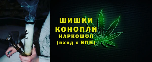 гидра Володарск