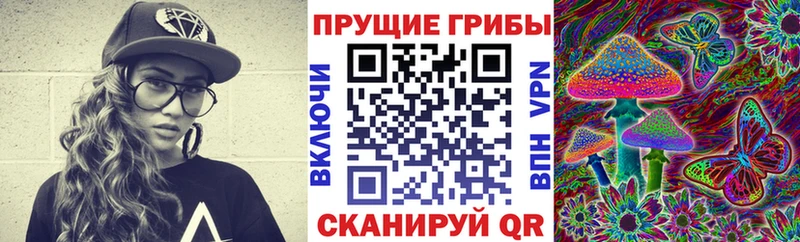 Псилоцибиновые грибы GOLDEN TEACHER где продают наркотики Камызяк